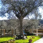 La Casetta Del Nonno *