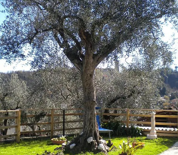 La Casetta Del Nonno *